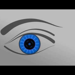 Blue Vision
