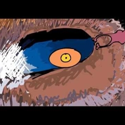 Animation creative 