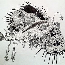 Doodles