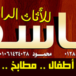 3 - القاضي