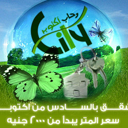 online banner
