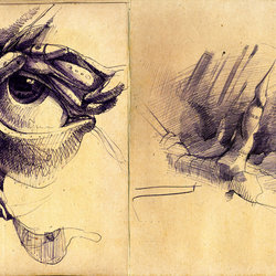 sketches