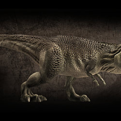 T-rex