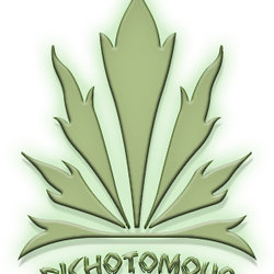 My work