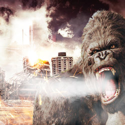 King Kong Design