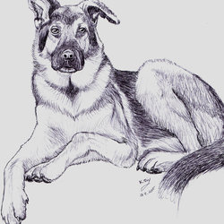 Inktober 2015 and other ink drawings