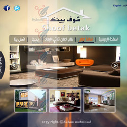 website ui-ux and logo