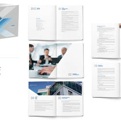 Annual Bank report