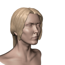 Digital sculpt