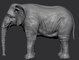 2 - Elephant 
