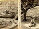 30 days in Jerusalem 