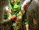 Nuclear Soldier 