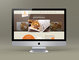 Broastyy Website