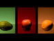 Food Photography