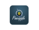 Pineapple App