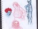 1 - Sketches