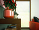 3D Animation - Living Area