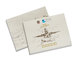UAE Civil Aviation Strategic Plan 2013