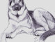 Inktober 2015 and other ink drawings