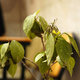 photography