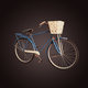Bicycle Model