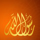لنصرة سيدنا محمد عليه الصلاة و السلام