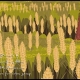Animation