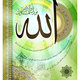الله نور السماوات والأرض 