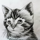 FREE HAND DRAWING