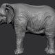 1 - Elephant 