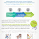 News Letter Email Design