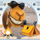 infographics... camping