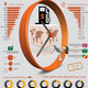economic infographics
