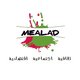 موقع الكتروني