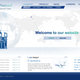 5 - WEBSITE