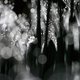 drops