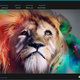 My Website