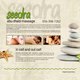 Seedra website design 