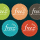 freez concept