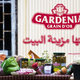 GARDENIA ريحتها مزينة البيت