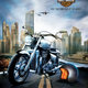  Harley Davidson