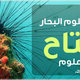تصميم بنرات