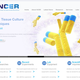 http://www.nceregypt.com/