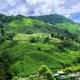 My Photography - Nature  