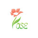 Rose Flowers Store