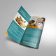 Veterinarian Clinic Tri-Fold Brochure Vol. 3