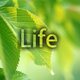 life