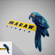 logo macaw