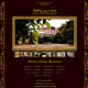 Web Design Collection