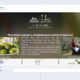 Olive Harvest Festival